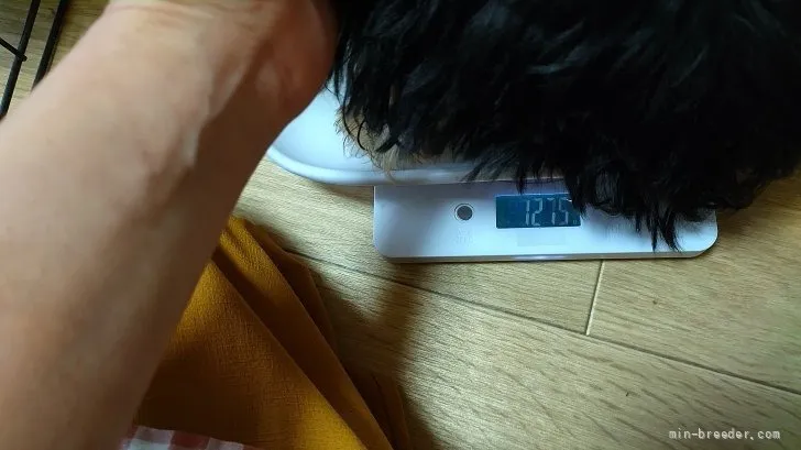 やっぱり小さい(^-^)