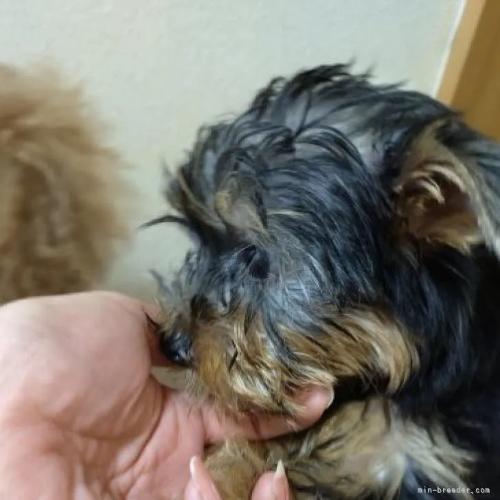 お鼻どん詰まりです☺️8/24撮影