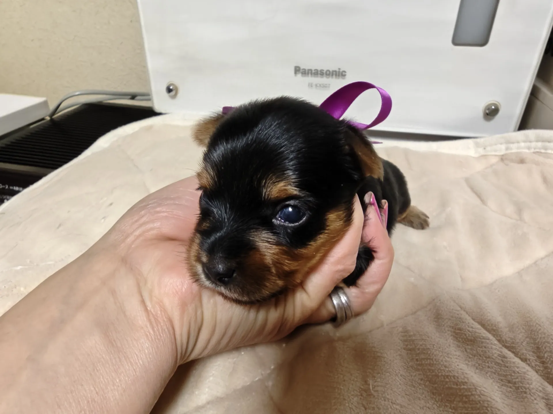 素敵なご家族が決まりました