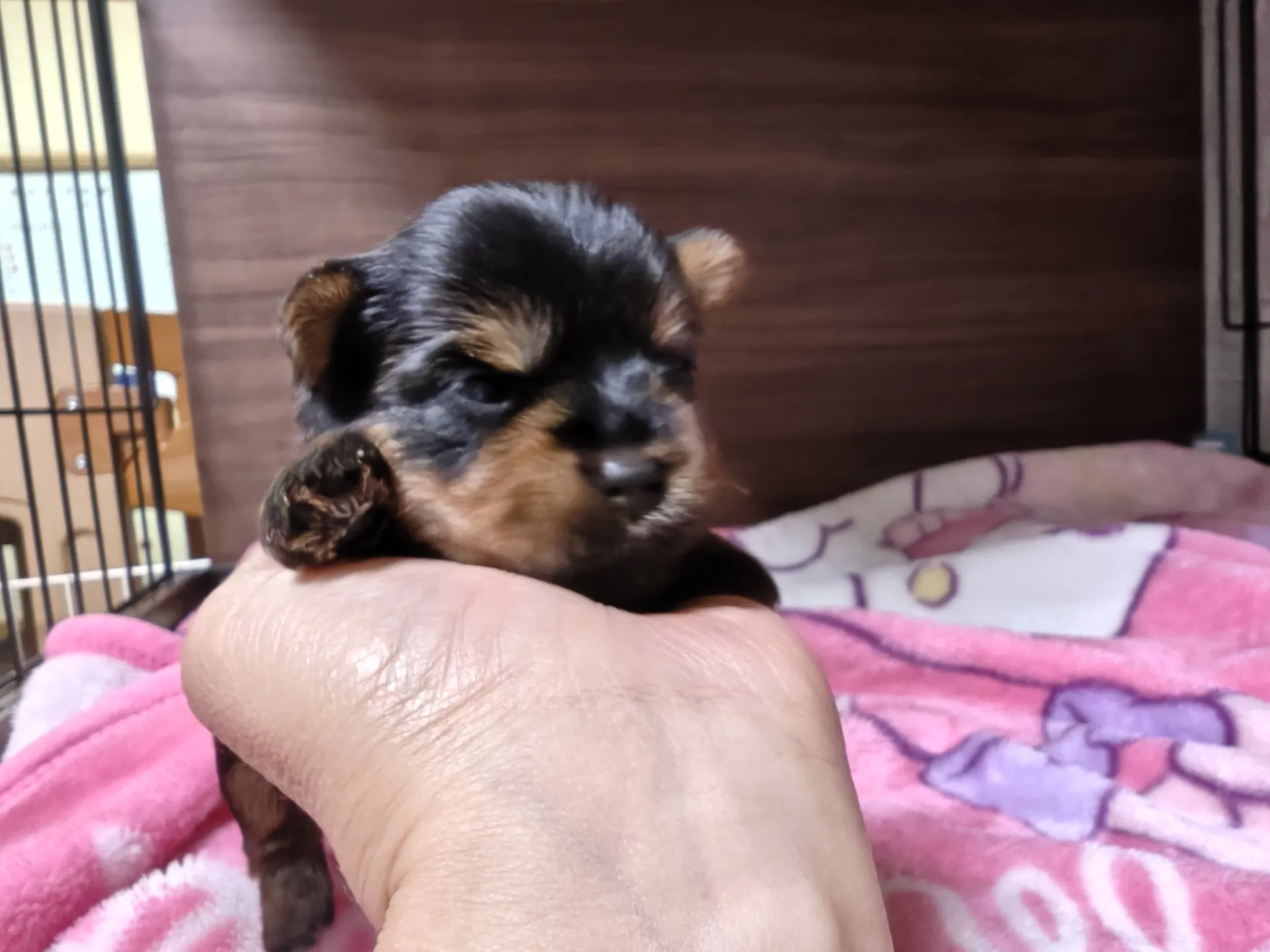 26.5.7産まれの姫ちゃん😊ピンクリボンです